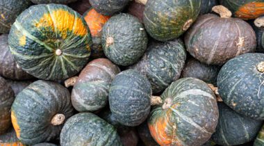 Pile of pumpkins fresh stacked tightly