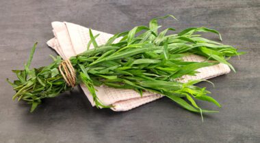 Fresh Green tarragon bunch on white folded napkin